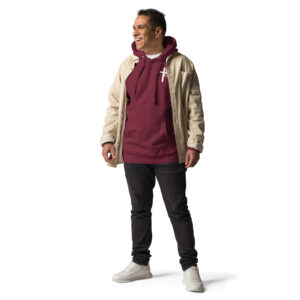 mary and jesus men's hoodie