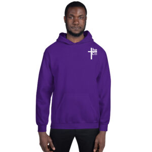 catholic dogma is divine fact men's hoodie