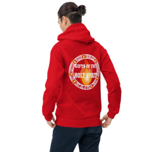 gifts of the holy spirit men's christian hoodie