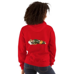 st joseph dream women's hoodie