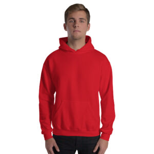 psalm 13:1 men's christian hoodie