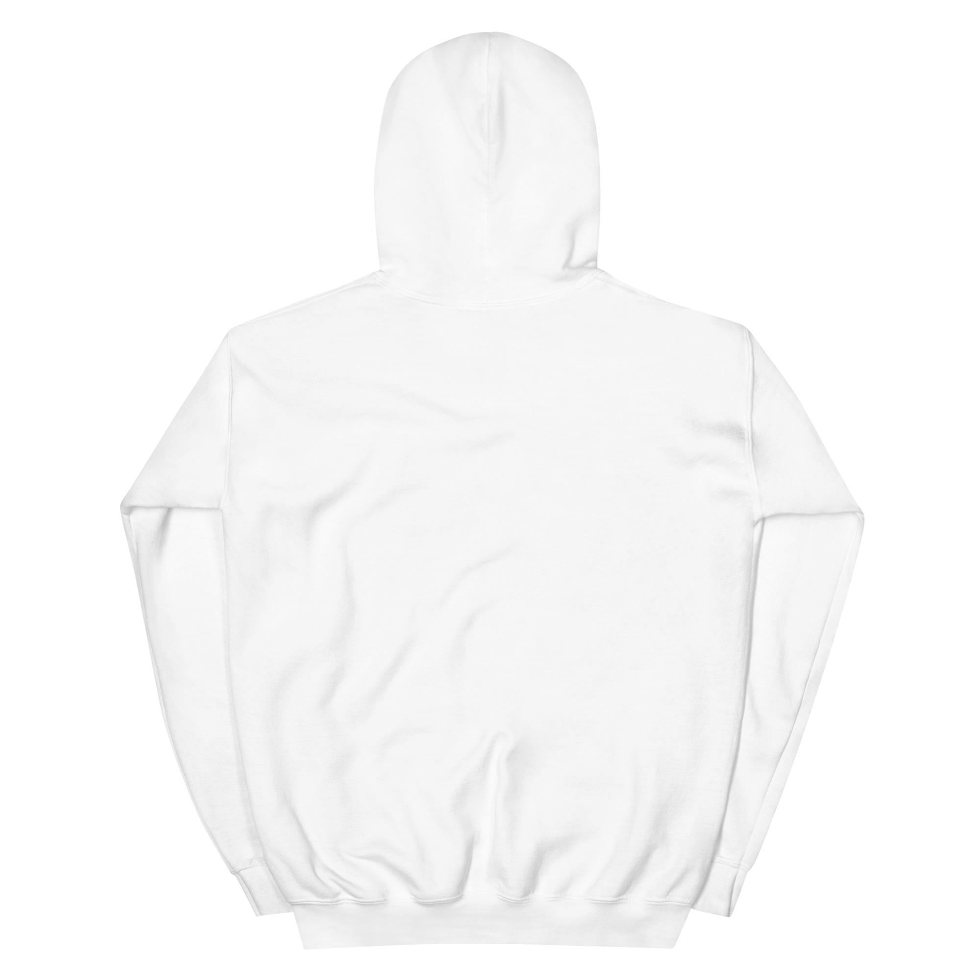 i came, i saw, god conquered women's hoodie i came, i saw, god conquered women's hoodie