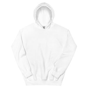 i came, i saw, god conquered women's hoodie