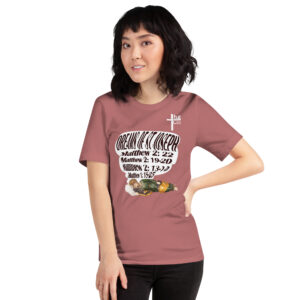 dreams of st joseph women's t shirt