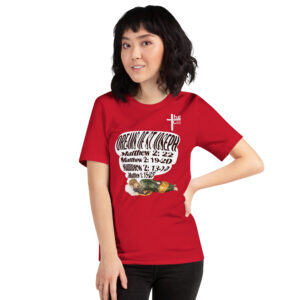 dreams of st joseph women's t shirt