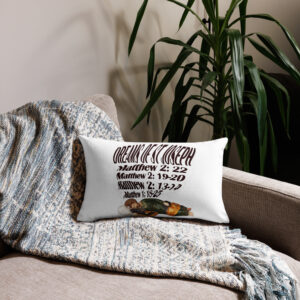 dreams of st joseph premium pillow