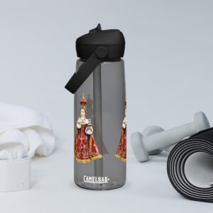 infant of prague flip straw water bottle