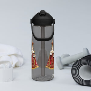 infant of prague flip straw water bottle