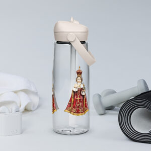 infant of prague flip straw water bottle