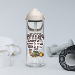 dreams of st joseph flip straw water bottle