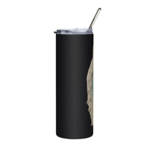 our lady of lourdes stainless steel tumbler